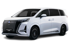 Picture for category DENZA M9