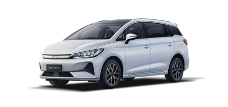 Picture for category BYD M6